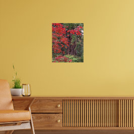 Poster Sequoia Gigante e Mapeamento Vermelho Deixa Fotogr
