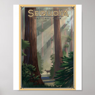 Poster Sequoia National Park Litho Trabalho de arte Poste