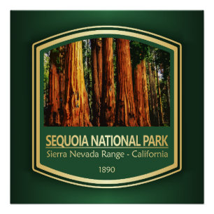 Pôster Sequoia NP (PF1)