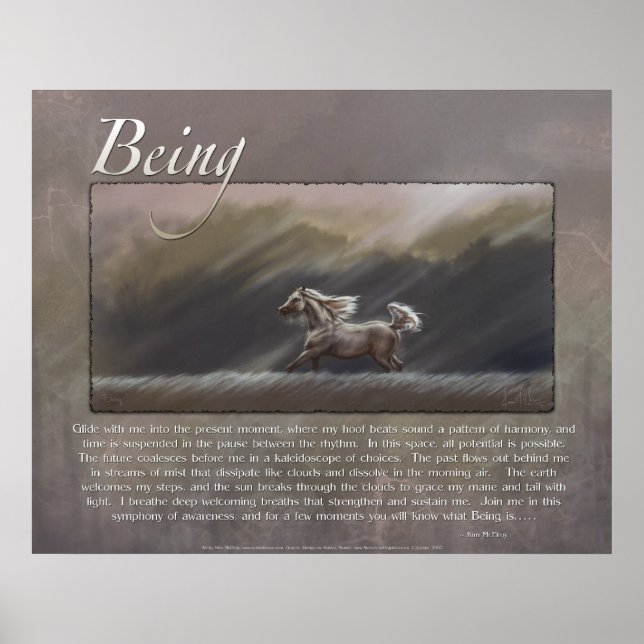 Poster Ser Inspiracional (Frente)