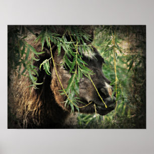 Pôster Ser o nery Mini Filly debaixo da árvore selvagem