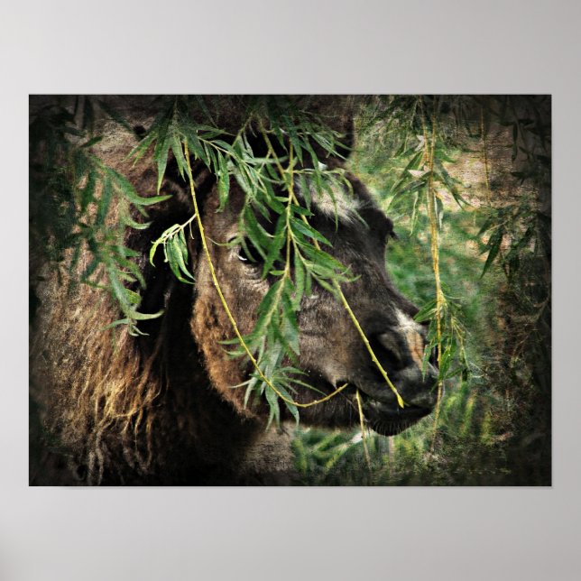 Pôster Ser o nery Mini Filly debaixo da árvore selvagem (Frente)