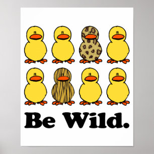 Poster Ser Patos Selvagens