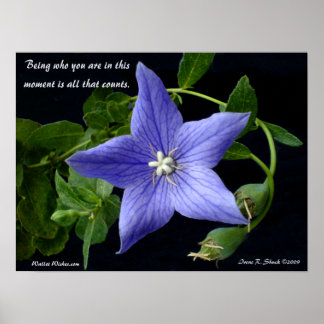 Poster Ser quem você é.