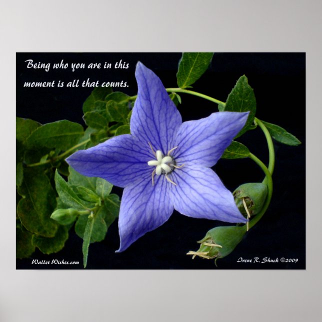 Poster Ser quem você é. (Frente)