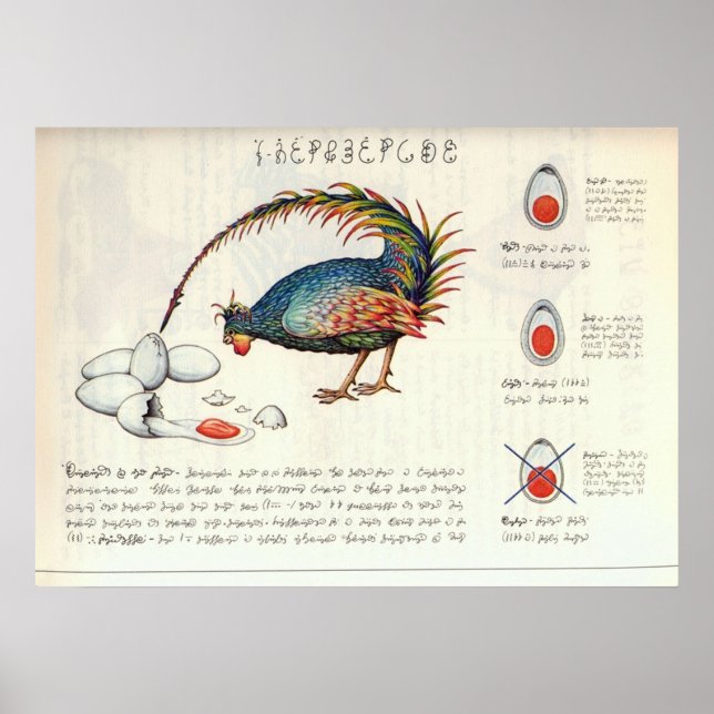 Poster Seraphinianus codex (Frente)