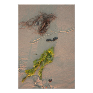 Pôster Sereia