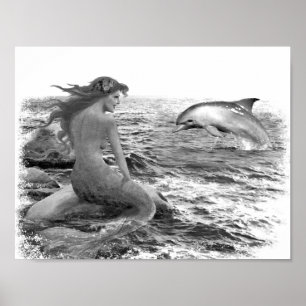 Pôster Sereia e golfinho
