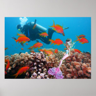 Poster Sereia Famosa
