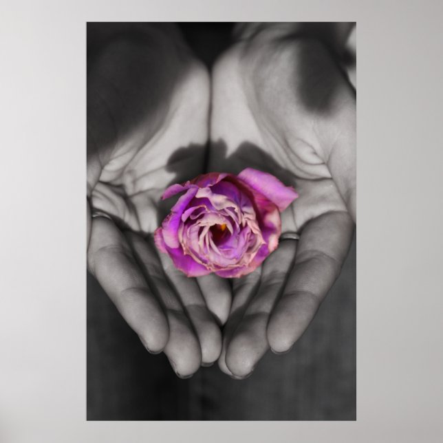 Pôster Serendipidade (Frente)