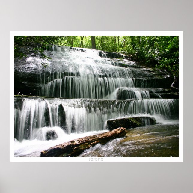 Pôster serene (Frente)