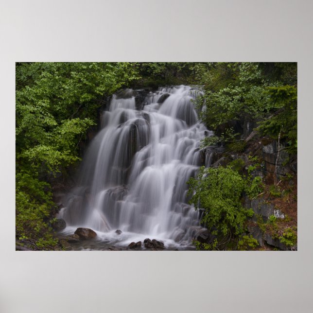 Pôster Serene (Frente)