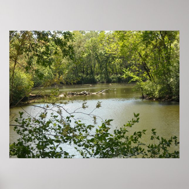 Pôster Serene 2 (Frente)