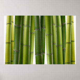 Pôster Serene Bamboo