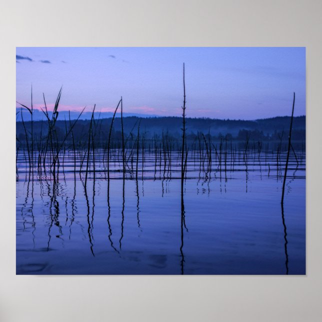 Poster Serene e lago névoa após chuva forte (Frente)