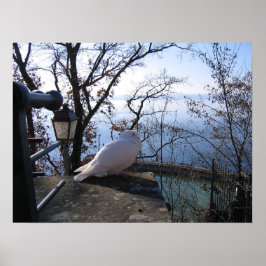 Poster Serene Overlook