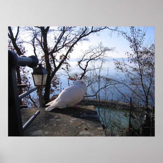 Poster Serene Overlook (Frente)