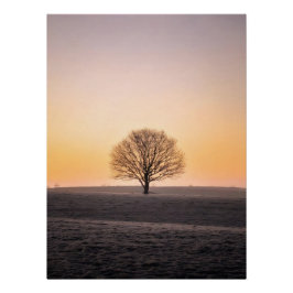 Pôster Serene Solitude: Winter Sunrise Lone Tree - Minima