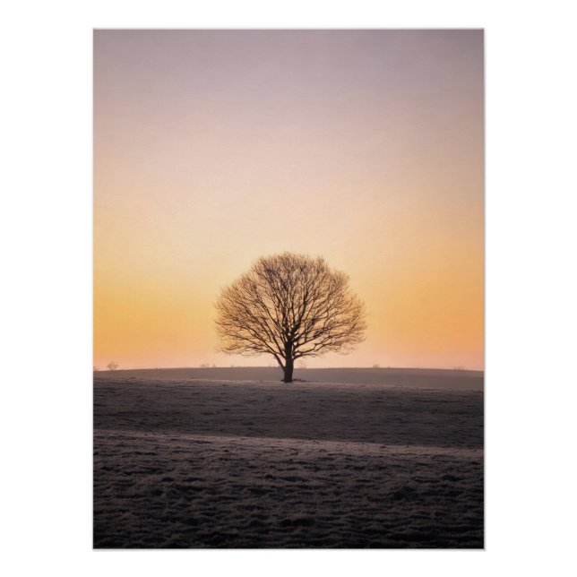 Pôster Serene Solitude: Winter Sunrise Lone Tree - Minima (Frente)