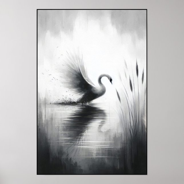 Poster Serene Swan Em Águas Estáticas (Frente)