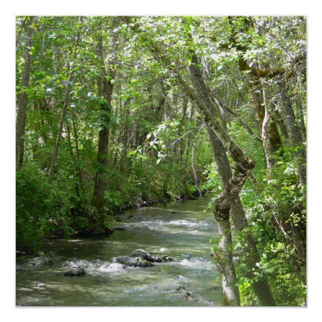 Pôster Serenidade.... (Frente)