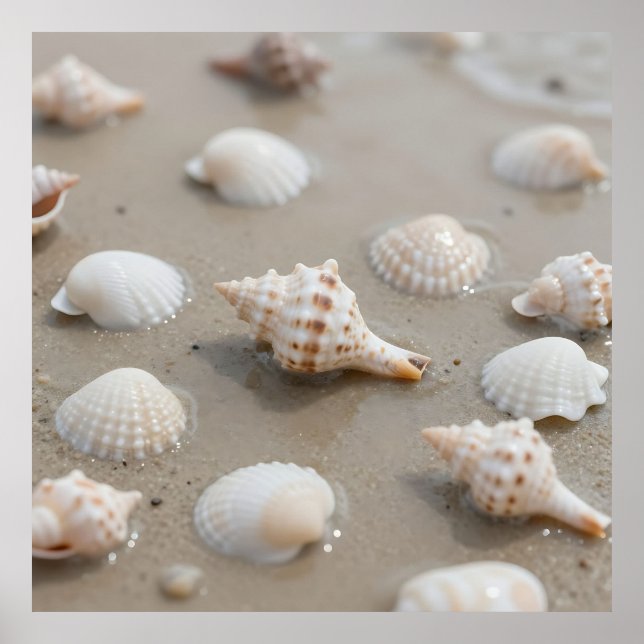 Poster Serenidade da Praia de Conchas Delicadas (Frente)