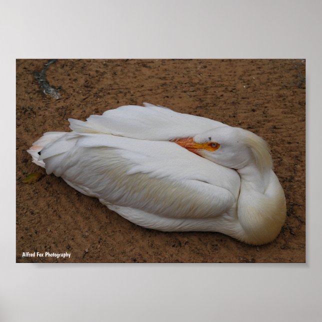 Poster Serenidade em Branco (Frente)