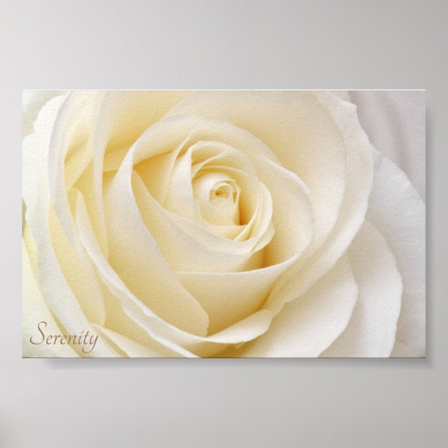 Poster Serenidade Rosa Branca (Frente)