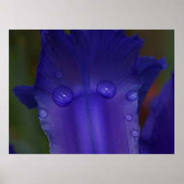 Poster Serenidade Safira