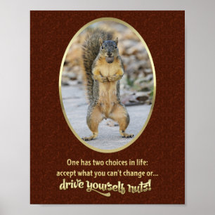 Poster Serenity Prayer em uma casca