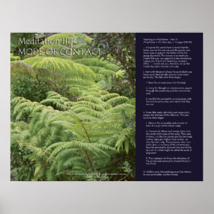 Poster Série da meditação da DK: Meditação III