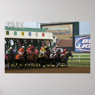 Pôster Série de LSP (3)