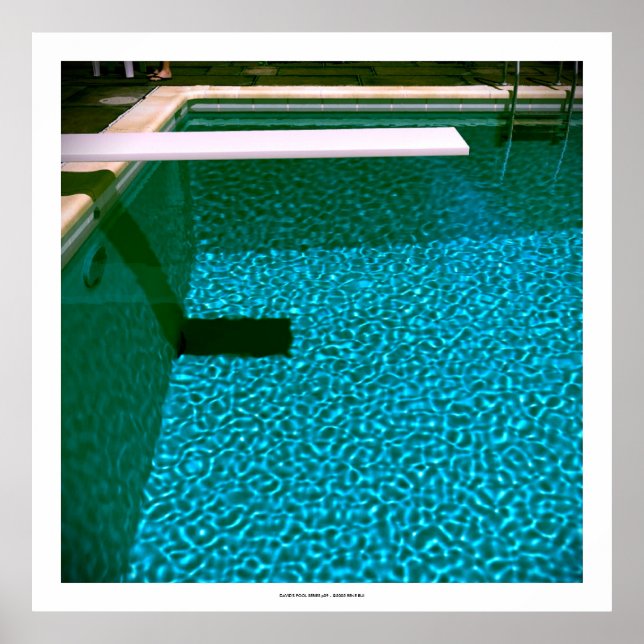 Poster SÉRIE DE PISCINA DA DAVID p09 - 3D Computer ART -  (Frente)
