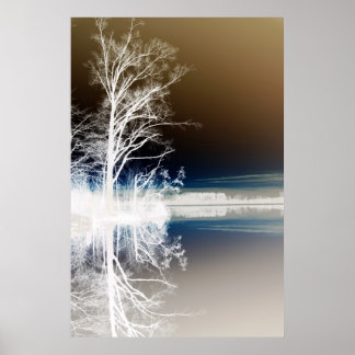 Pôster Série de Tempo Silencioso