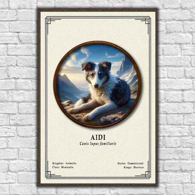 Poster Série de Zoologia Aidi (Criador carregado)