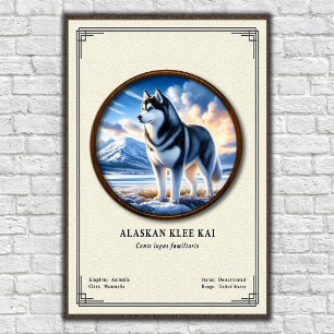 Poster Série de Zoologia Alaskan Klee Kai