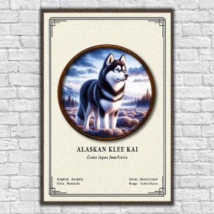 Poster Série de Zoologia Alaskan Klee Kai