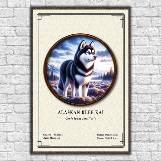 Poster Série de Zoologia Alaskan Klee Kai (Criador carregado)