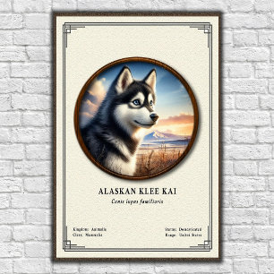 Poster Série de Zoologia Alaskan Klee Kai