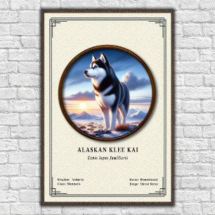 Poster Série de Zoologia Alaskan Klee Kai