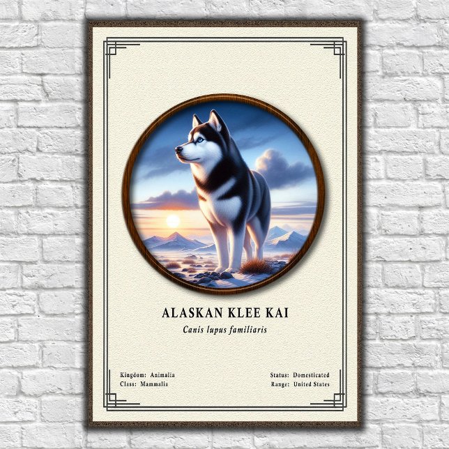 Poster Série de Zoologia Alaskan Klee Kai (Criador carregado)