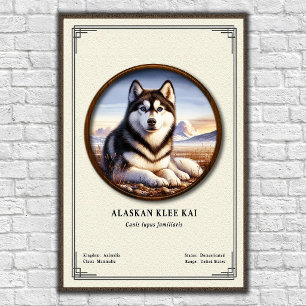 Poster Série de Zoologia Alaskan Klee Kai