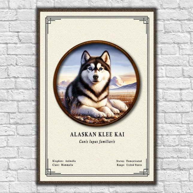 Poster Série de Zoologia Alaskan Klee Kai (Criador carregado)