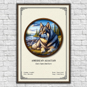Poster Série de Zoologia Alsaciana Americana