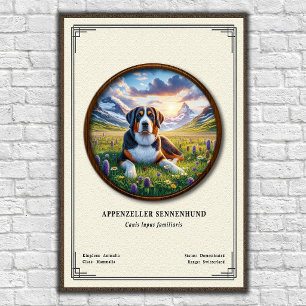 Poster Série de Zoologia Appenzeller Sennenhund