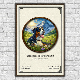 Poster Série de Zoologia Appenzeller Sennenhund