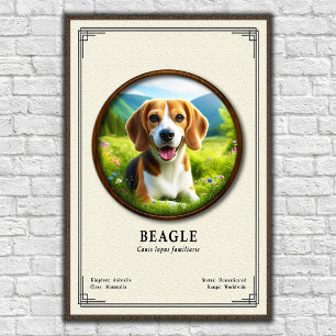 Poster Série de Zoologia Beagle
