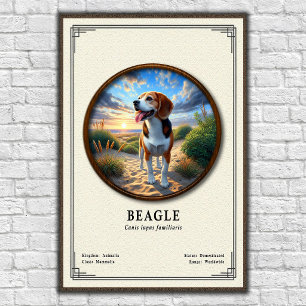 Poster Série de Zoologia Beagle