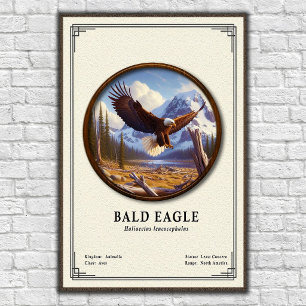 Poster Série de Zoologia da Águia Americana
