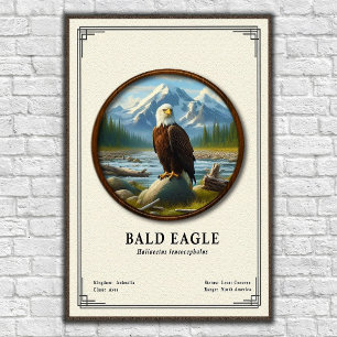 Poster Série de Zoologia da Águia Americana